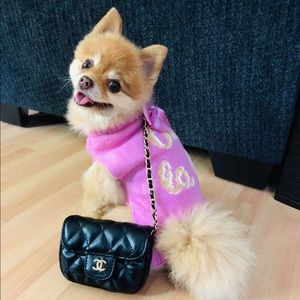 Pink Bow Sweater for Small Dog